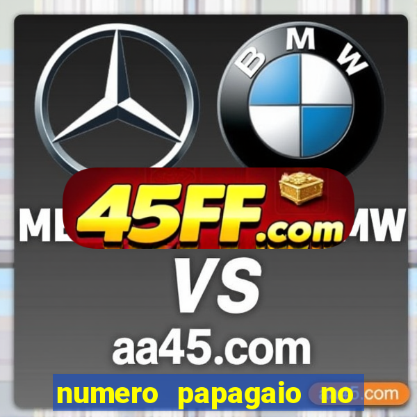 numero papagaio no jogo do bicho